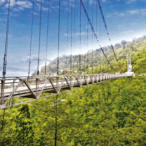 Top View of Bridge